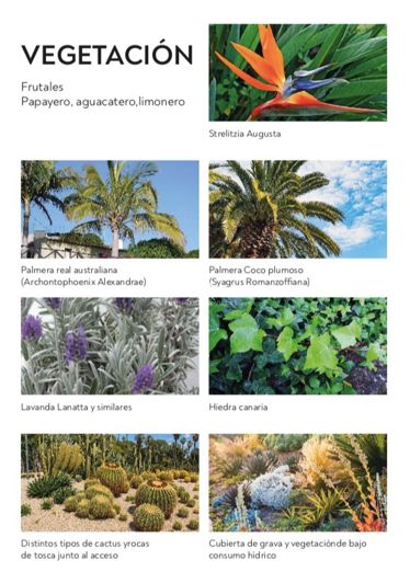 Image No.14-Plot for sale