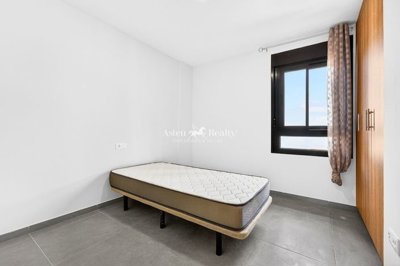 28181906