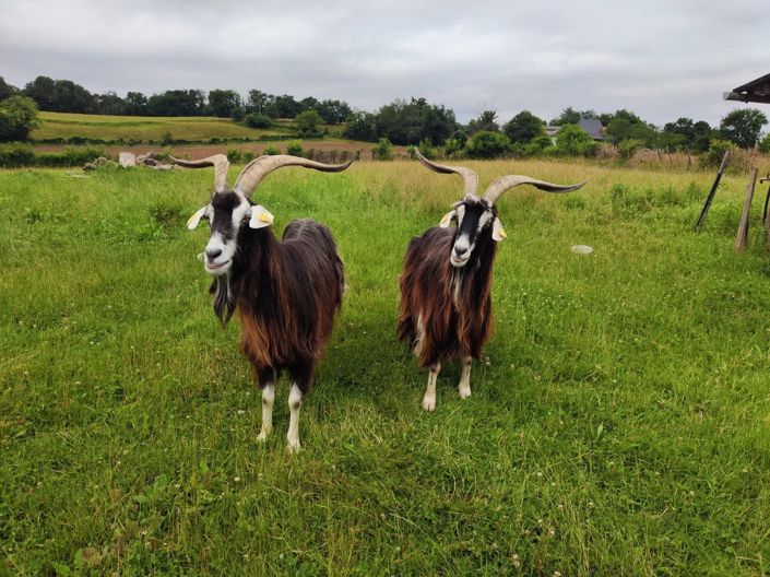 Image No.14-Maison de 6 chambres à vendre à Pyrenees-Atlantiques