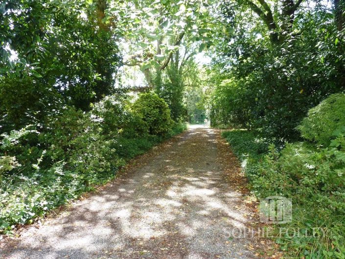 Image No.17-Maison de 5 chambres à vendre à Salies-de-Bearn