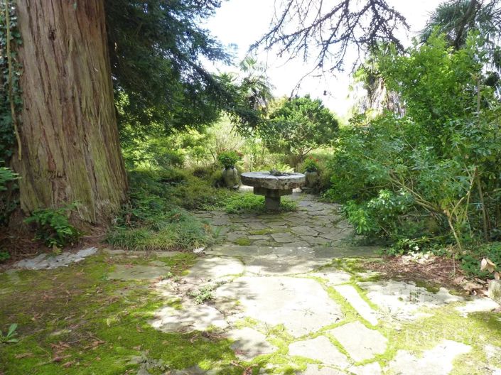 Image No.19-Maison de 5 chambres à vendre à Salies-de-Bearn