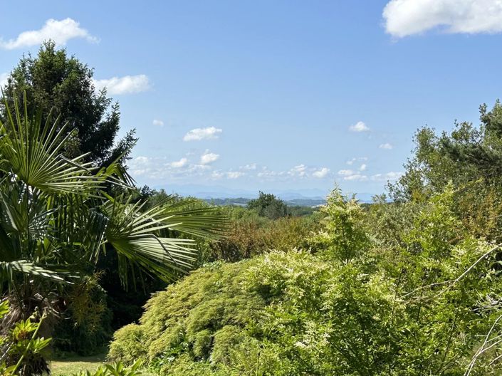 Image No.24-Maison de 5 chambres à vendre à Salies-de-Bearn