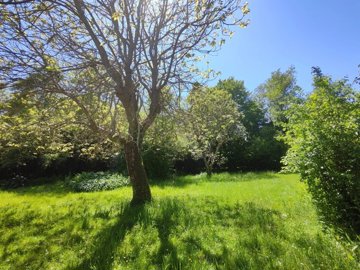 3e338cbdaf9b60964c67a8a0422a918d2a9e8703e9192