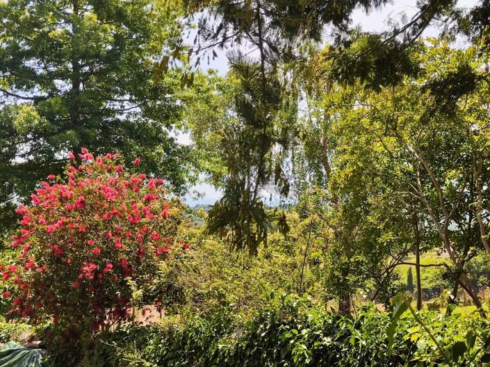 Image No.24-Maison de 6 chambres à vendre à Orriule