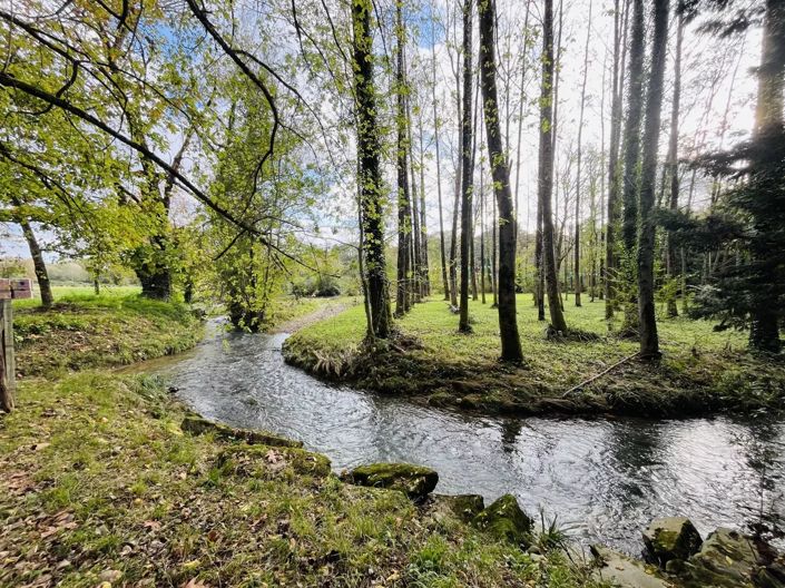 Image No.16-4 Bed House for sale