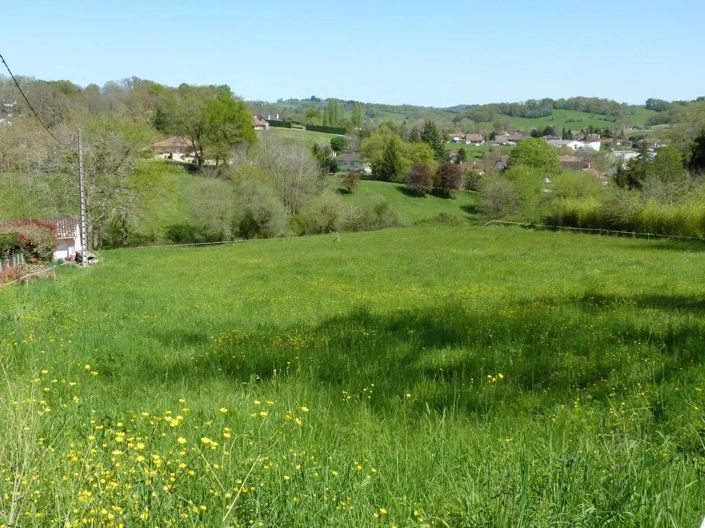 Image No.1-Terre à vendre à Salies-de-Bearn