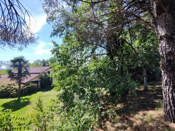 Image No.23-3 Bed House for sale