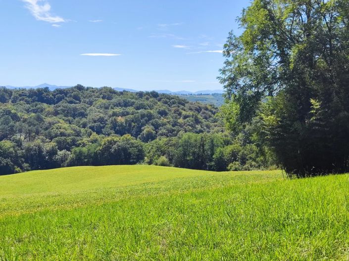 Image No.28-3 Bed House for sale