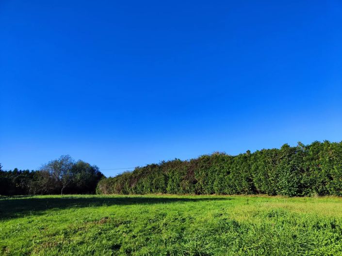 Image No.2-Land for sale