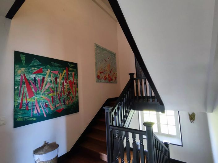 Image No.20-Maison de 5 chambres à vendre à Salies-de-Bearn