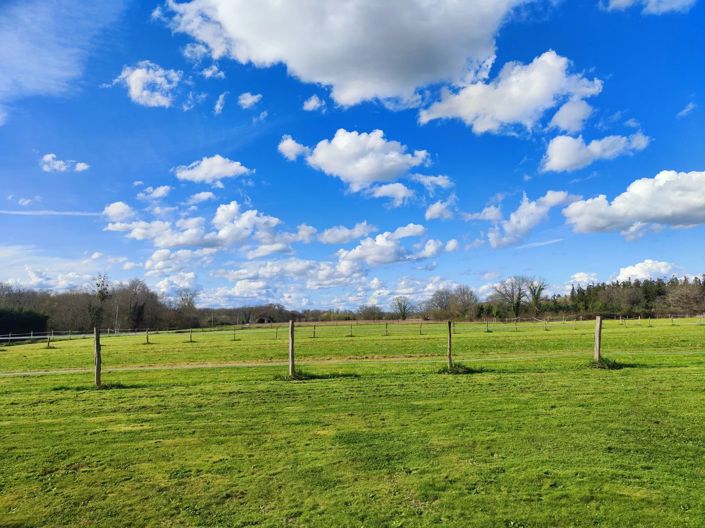 Image No.20-5 Bed House for sale