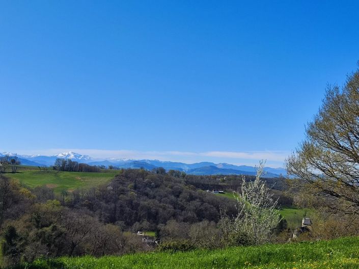 Image No.20-5 Bed House for sale