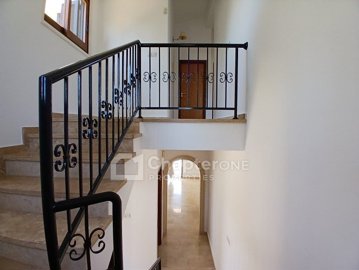 IMG-10270-10270-10