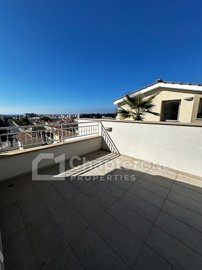 IMG-10278-10278-11