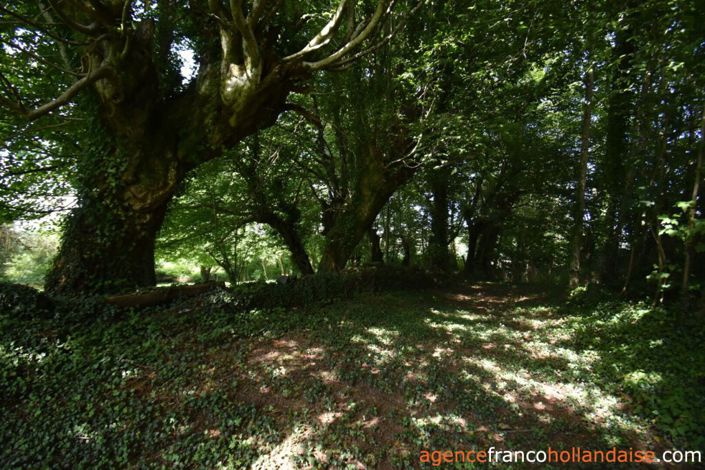 Image No.25-2 Bed House for sale