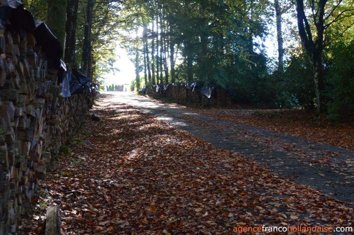 Image No.38-4 Bed Property for sale