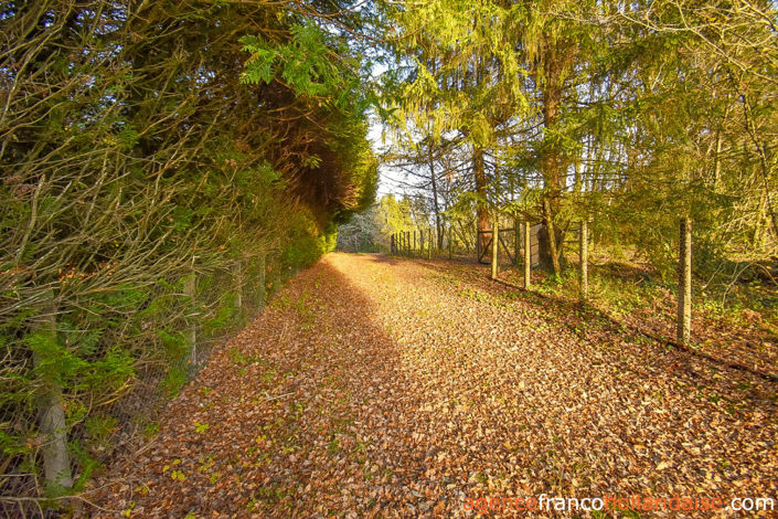 Image No.36-3 Bed House for sale