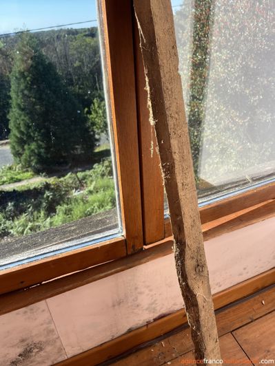 Image No.11-3 Bed House for sale