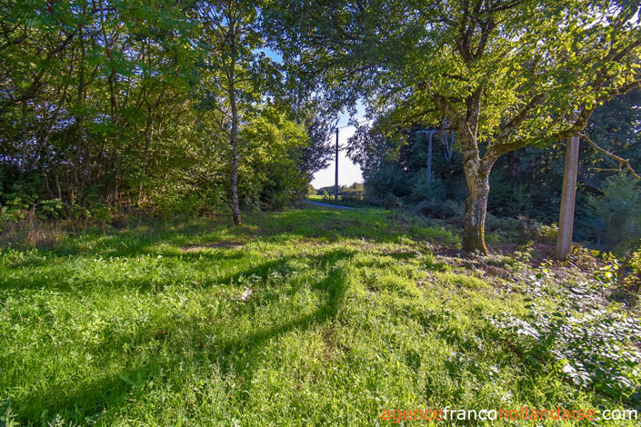 Image No.41-3 Bed House for sale