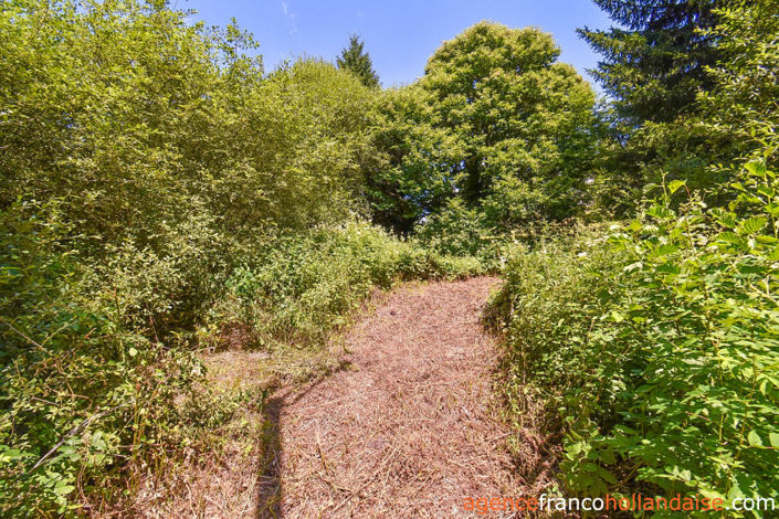 Image No.38-Maison de 4 chambres à vendre à Nedde