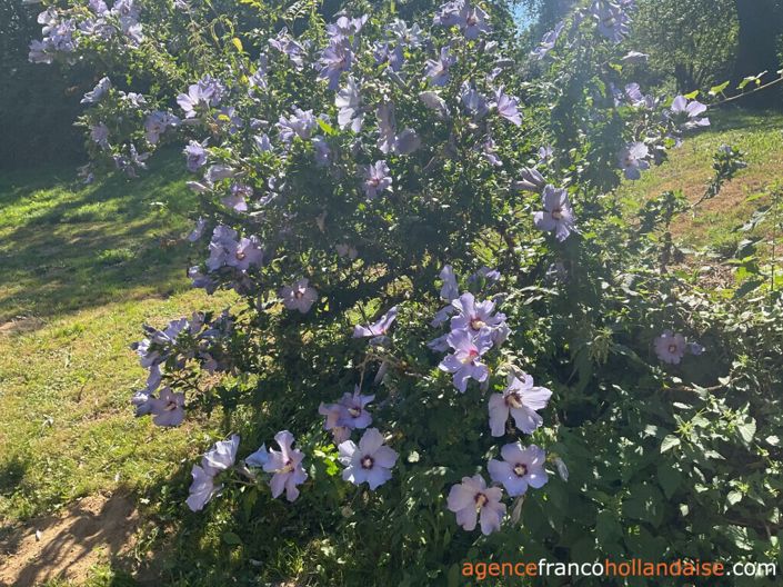 Image No.26-2 Bed House for sale