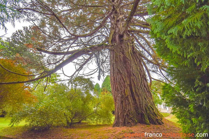 Image No.75-8 Bed House for sale