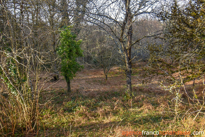 Image No.44-Maison de 5 chambres à vendre à Saint-Amand-le-Petit