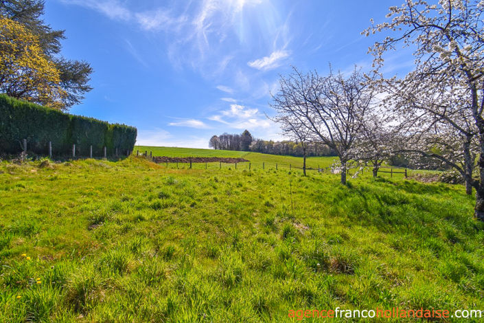 Image No.34-5 Bed House for sale