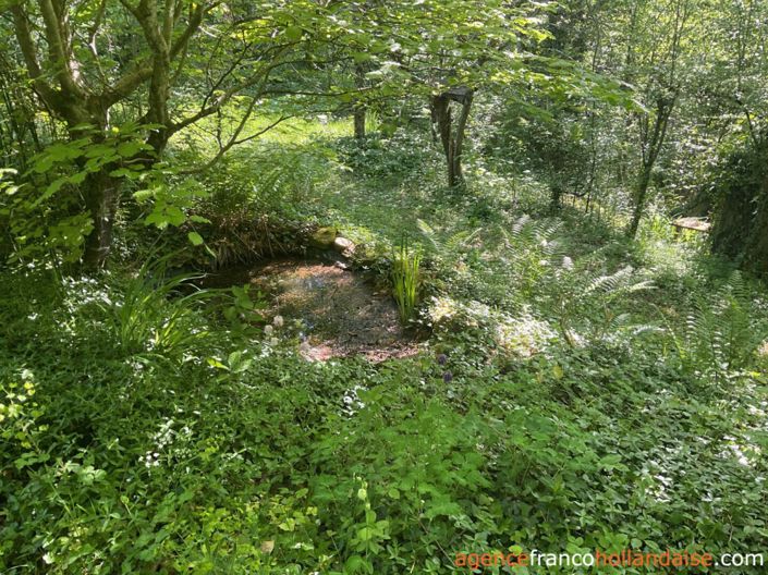 Image No.25-Maison de 2 chambres à vendre à Saint-Pardoux-Corbier