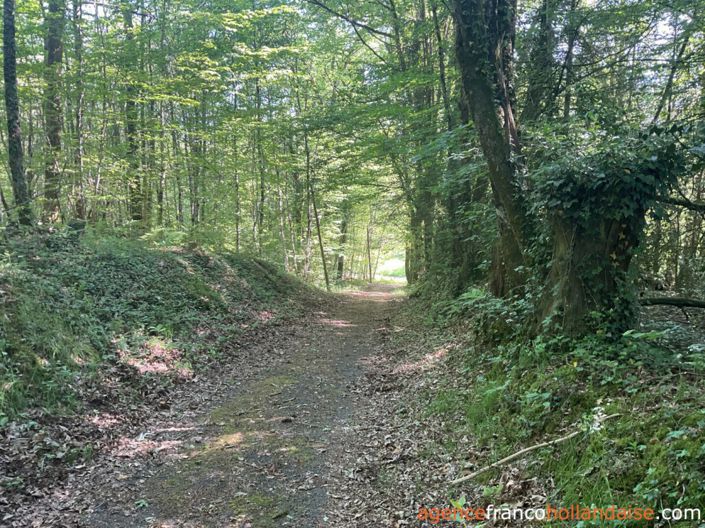 Image No.30-Maison de 2 chambres à vendre à Saint-Pardoux-Corbier