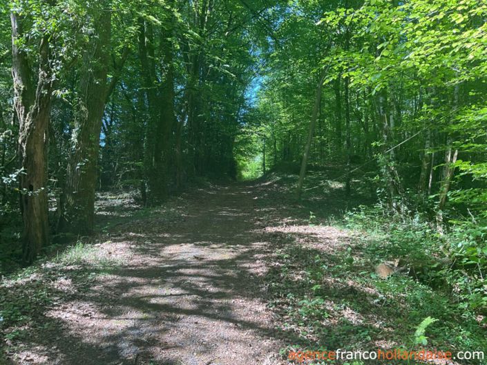 Image No.29-Maison de 2 chambres à vendre à Saint-Pardoux-Corbier