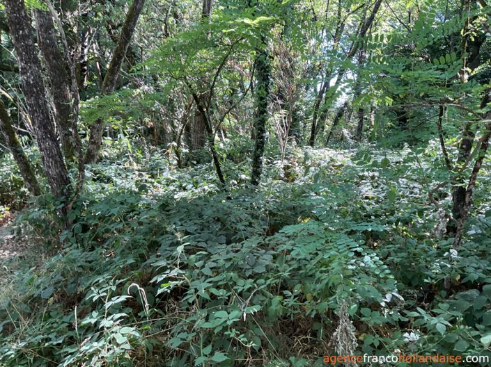 Image No.42-3 Bed House for sale