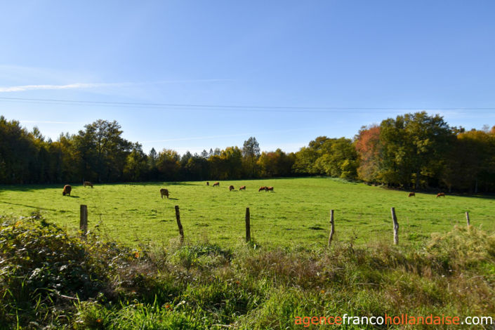 Image No.48-3 Bed House for sale