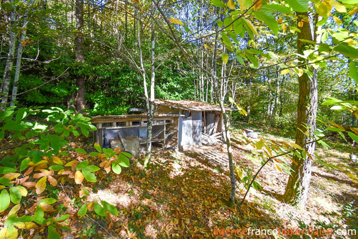 Image No.41-4 Bed House for sale