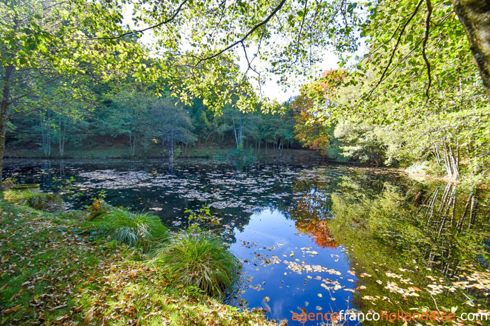 Image No.35-5 Bed House for sale