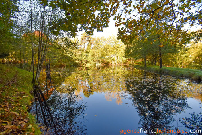 Image No.36-5 Bed House for sale