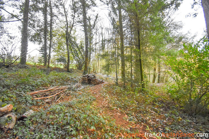Image No.37-Maison de 4 chambres à vendre à Saint-Amand-Jartoudeix