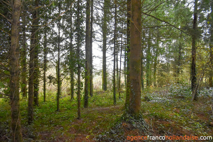 Image No.40-Maison de 4 chambres à vendre à Saint-Amand-Jartoudeix