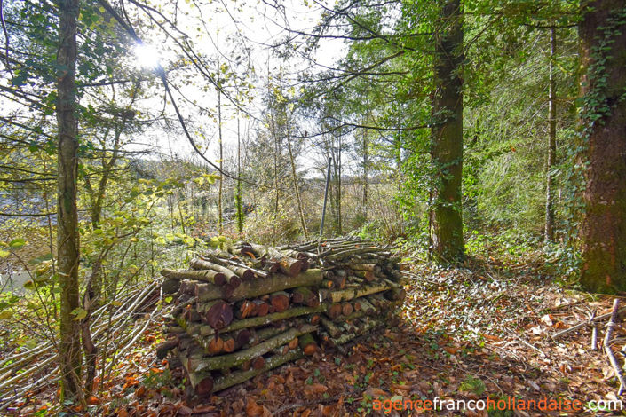 Image No.40-4 Bed House for sale