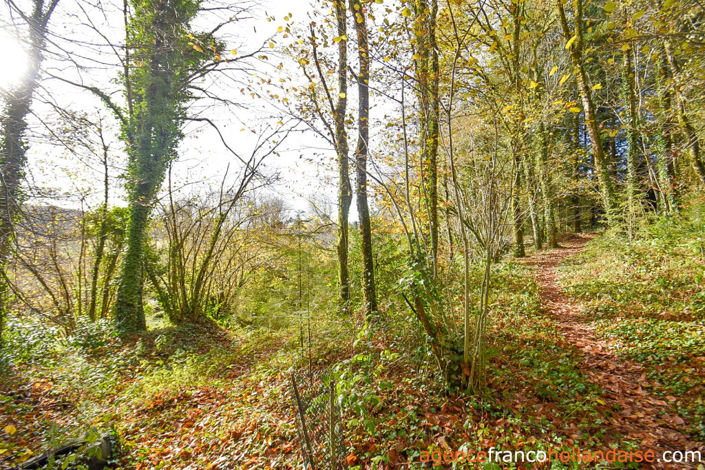 Image No.41-4 Bed House for sale