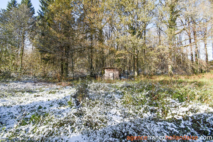 Image No.41-3 Bed House for sale