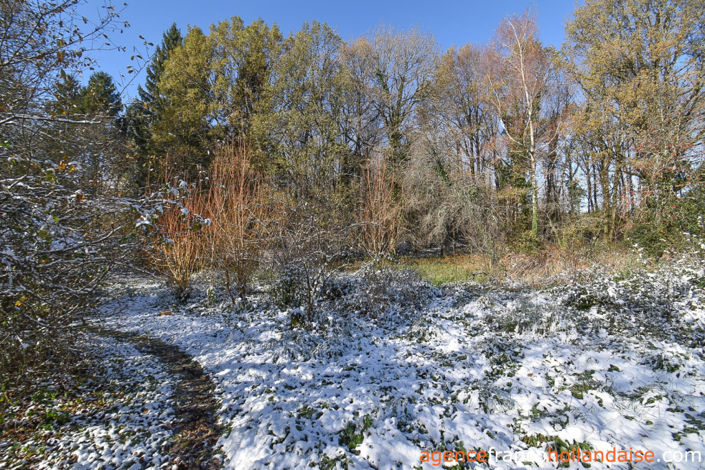 Image No.42-3 Bed House for sale