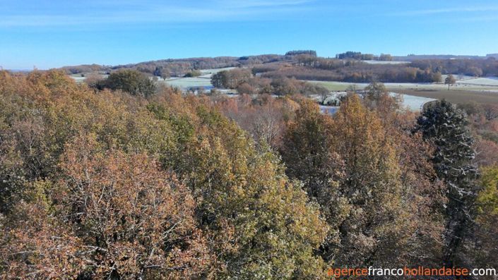 Image No.44-3 Bed House for sale