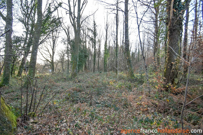 Image No.44-3 Bed House for sale