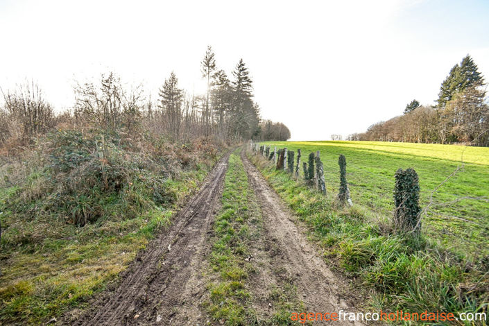 Image No.51-3 Bed House for sale