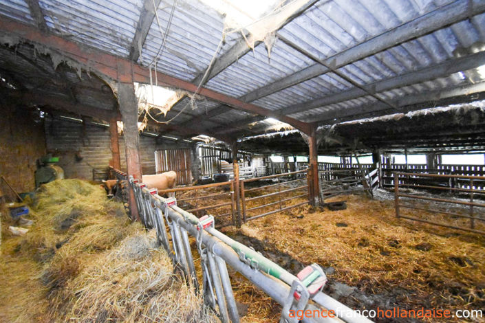 Image No.42-Commercial de 3 chambres à vendre à Lacelle