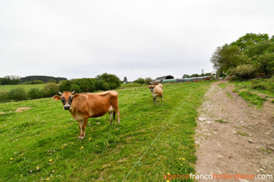 zelfvoorzienend-op-deze-bio-boerderij-6large