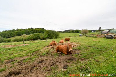 zelfvoorzienend-op-deze-bio-boerderij-8large
