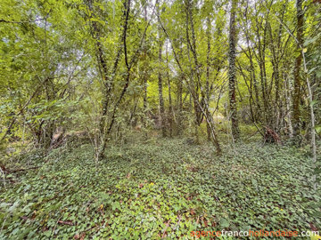 schuurproject-17large