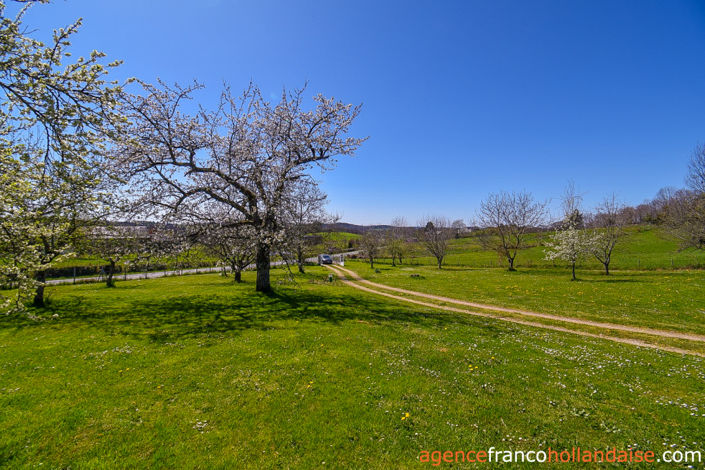 Image No.47-4 Bed House for sale